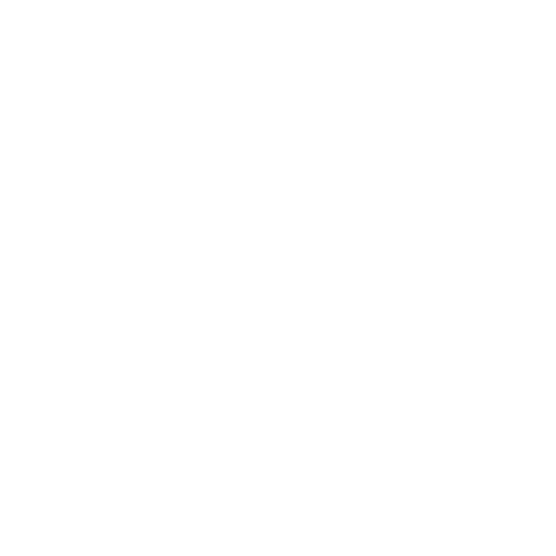 HSCRANE