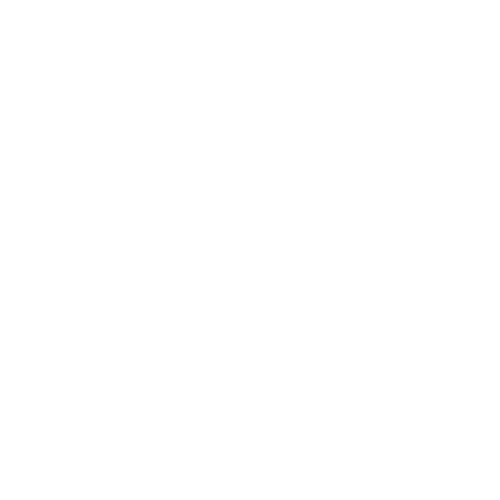 HSCRANE